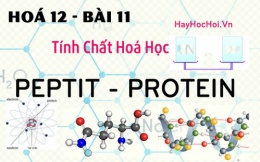 Tính chất hoá học, công thức cấu  tạo của Peptit và Protein - hoá 12 bài 11